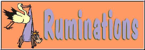 titre_rumi.jpg (19349 octets)
